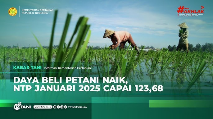 Transformasi Pertanian Indonesia 2025: Membangun Ketahanan Pangan di Tengah Tantangan Global