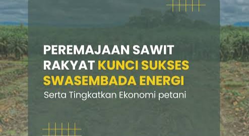 Pemprov Sumut Targetkan Peremajaan 11.000 Hektare Sawit Rakyat di 2025, Ini Hak dan Kewajiban Petani