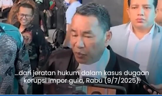 Hotman Paris Optimistis Tom Lembong Bebas, Beberkan Dua Bukti Kuat